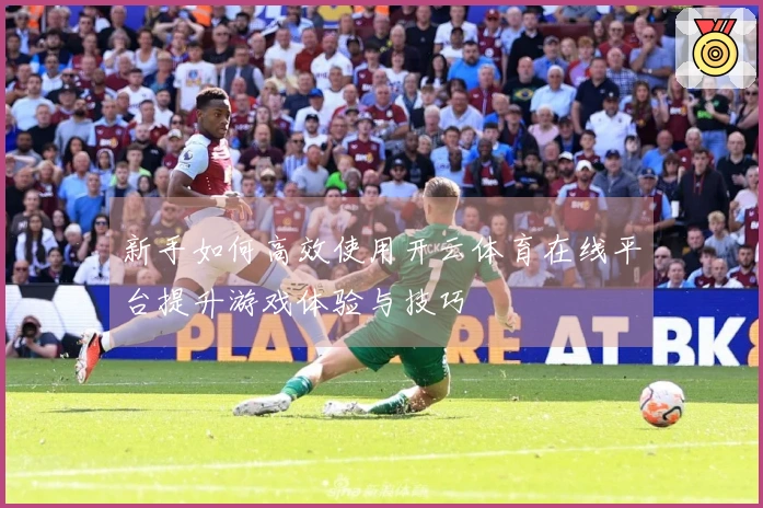 新手如何高效使用开云体育在线平台提升游戏体验与技巧