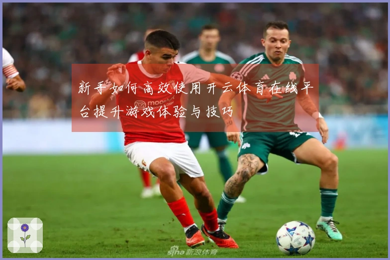 新手如何高效使用开云体育在线平台提升游戏体验与技巧